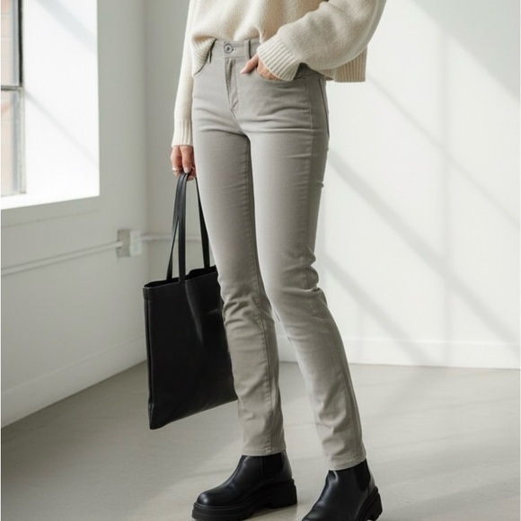 Helmut Lang 5 Pocket Skinny Stretch Moleskin Skinny Pants Rail Gray 26 Nwt